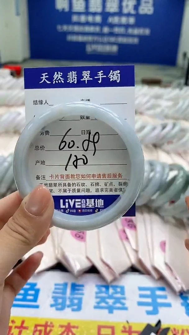未镶嵌手镯翡翠206