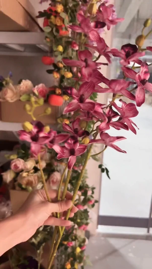 2枝酒红手感千鸟兰