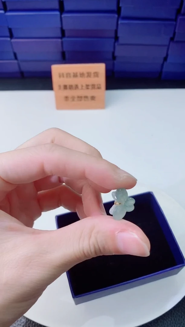 翡翠未镶嵌颈饰