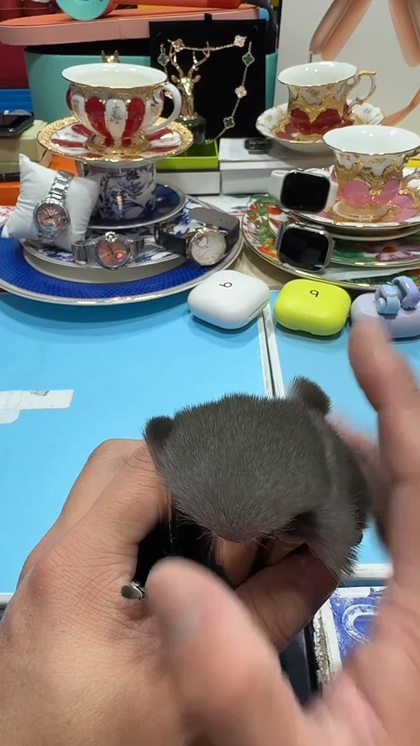 瓷片11111111111112@@1