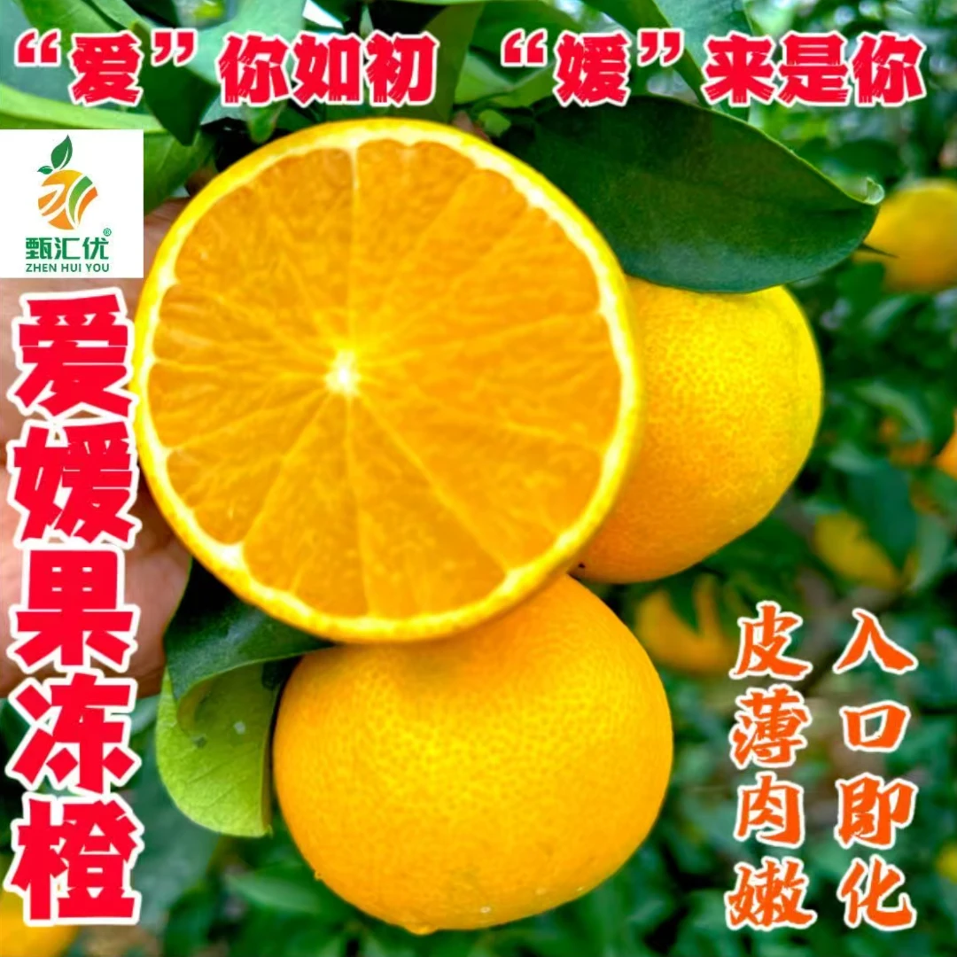 甄汇优 d四川爱媛38号果冻橙爆汁多甜皮薄肉厚细腻无渣当季水果