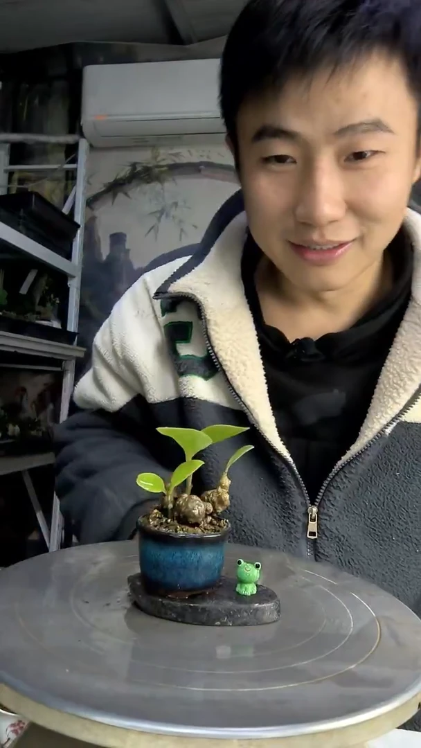 深**鱼中青园艺一物一拍220
