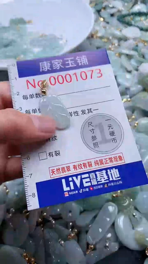 翡翠未镶嵌吊坠(不含链)1073