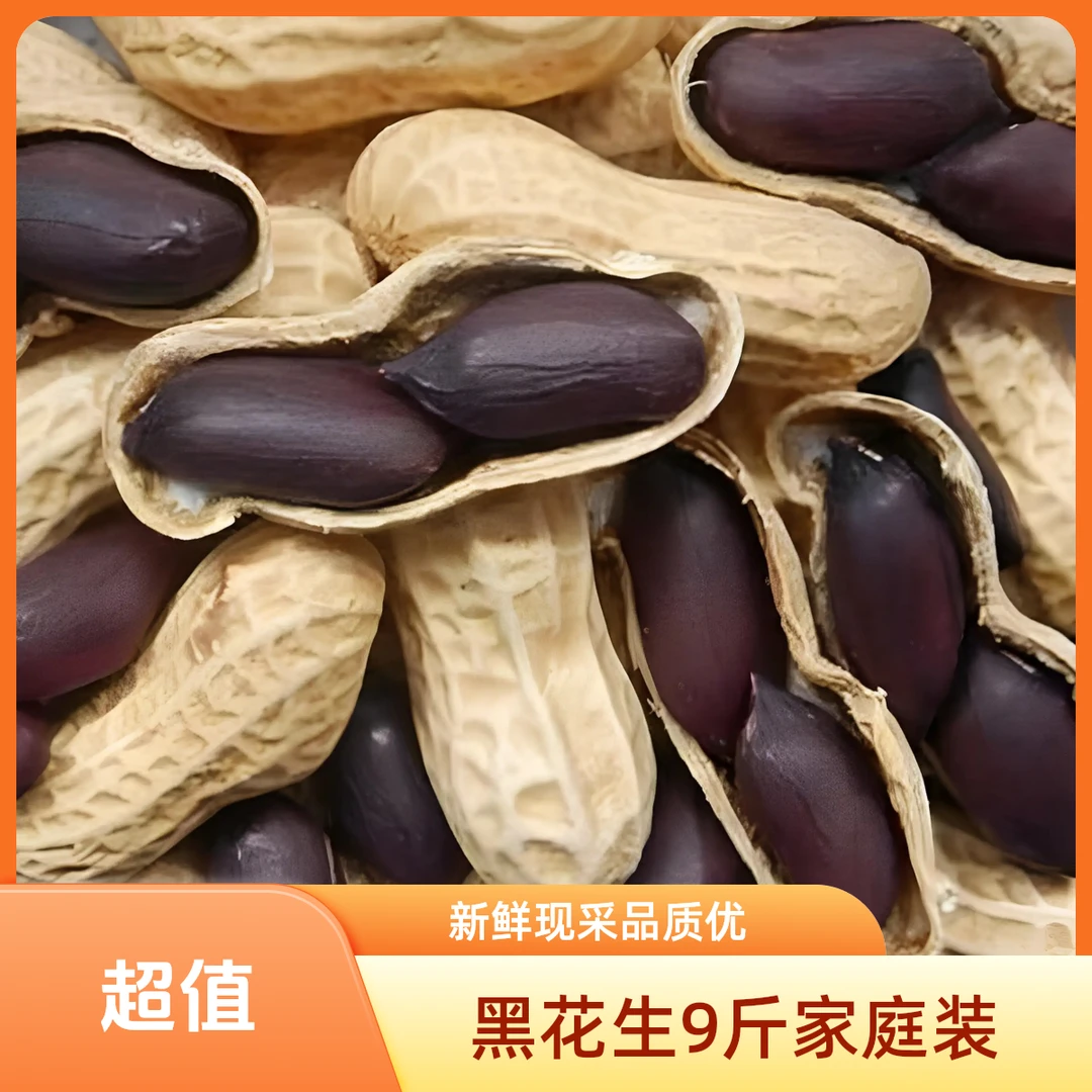 【家庭装】9斤装黑花生新鲜黑花生 涿州林家屯农村现采现发