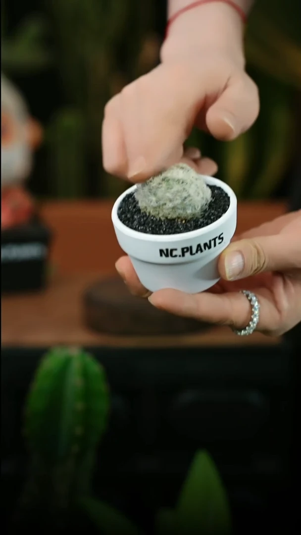 无花朵香草冰淇淋（福利