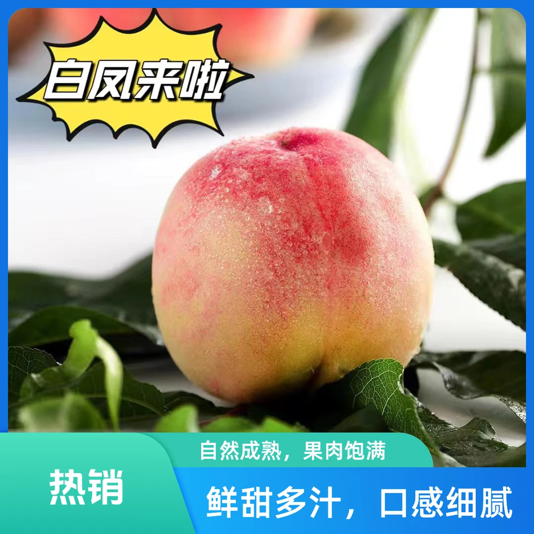 【4-3两】正宗无锡阳山雨花露水蜜桃江苏省