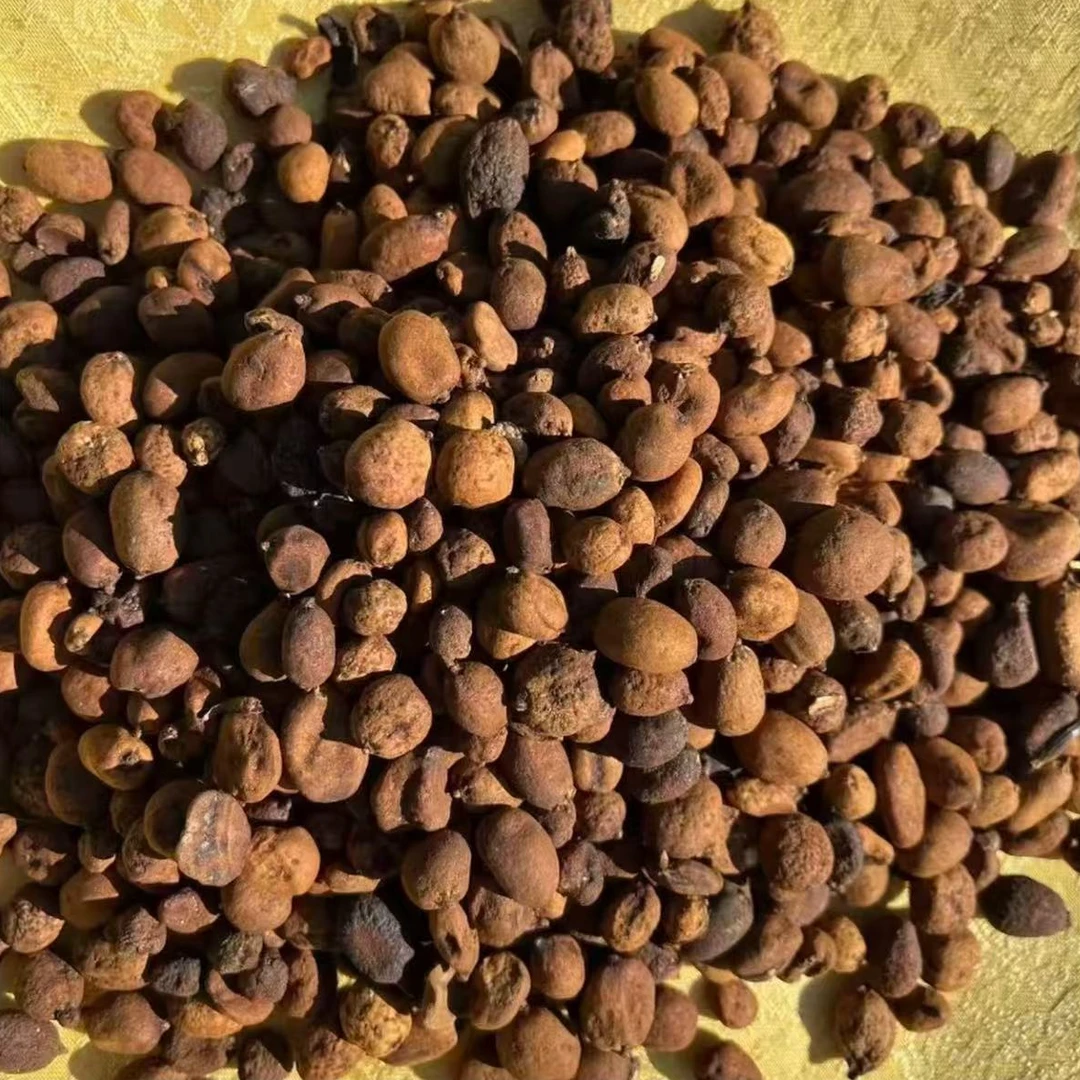 【阿依山货】 地下明珠参4