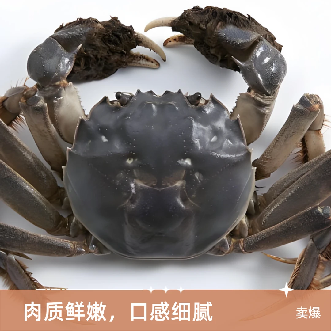 【8送2只】江苏青蟹1.7-2.2两 次日达 顺丰包邮W1