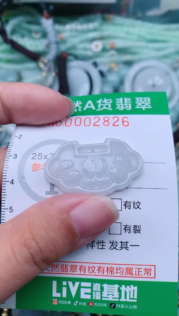 翡翠未镶嵌颈饰.0002826