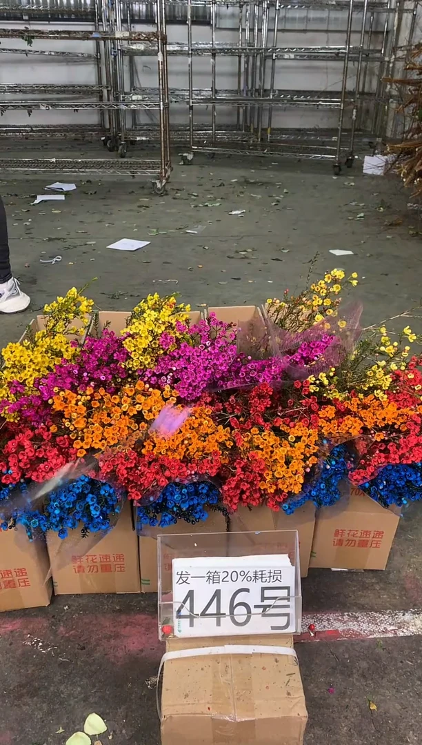 446号♥中通含20%耗损发一箱鲜花