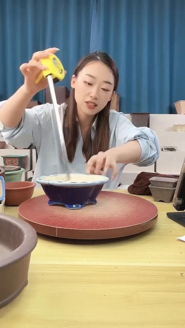 紫砂花盆花盆浅草紫砂花盆
