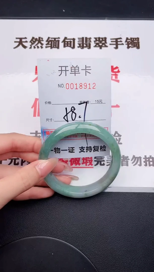 未镶嵌手镯翡翠12