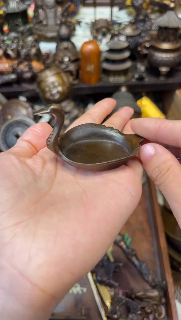 瑞瑞古铜准备开播A5