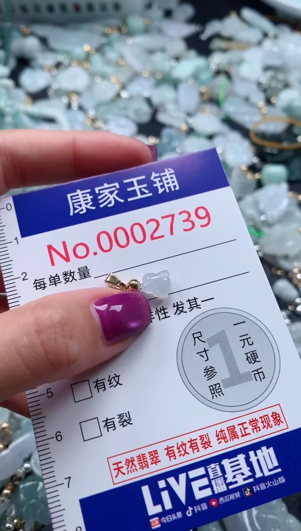颈饰未镶嵌翡翠2739