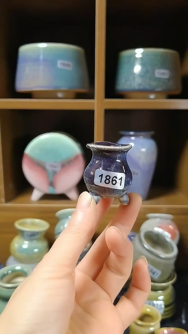 【闪购商品】红陶1861