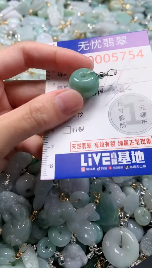 翡翠未镶嵌吊坠(不含链)5754