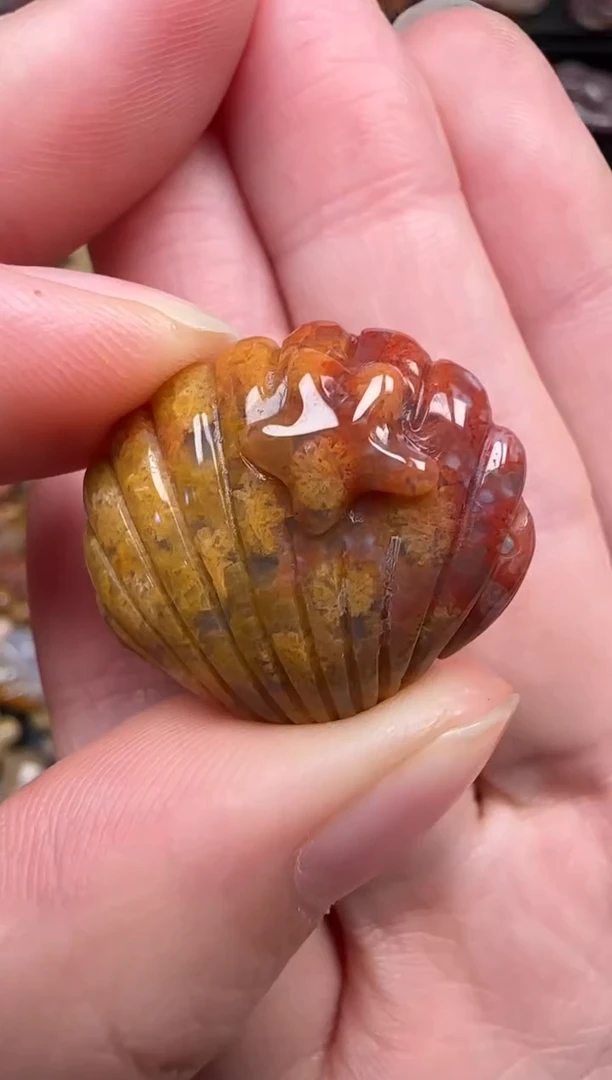 颈饰未镶嵌硅化珊瑚（珊瑚玉）222
