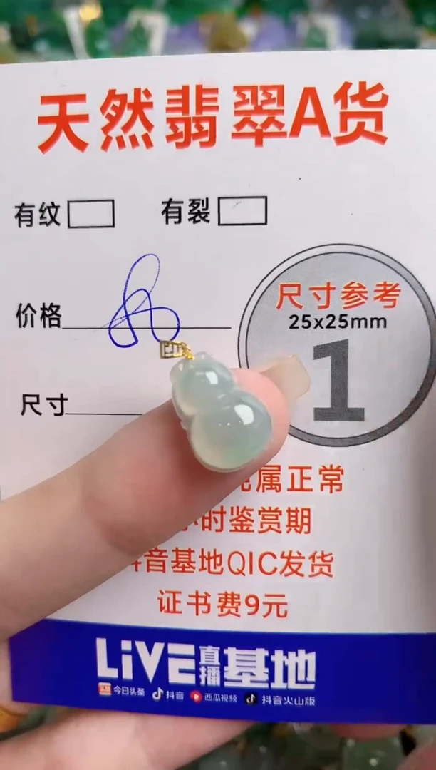 翡翠18K金镶嵌颈饰23000290