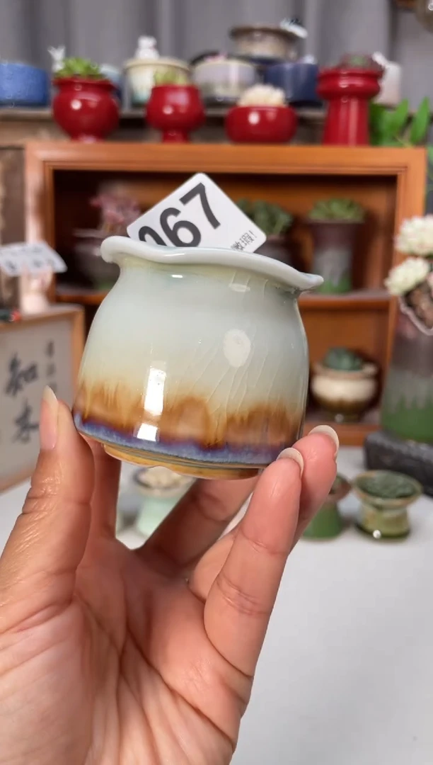 瓷片067小芳花盆直播编号