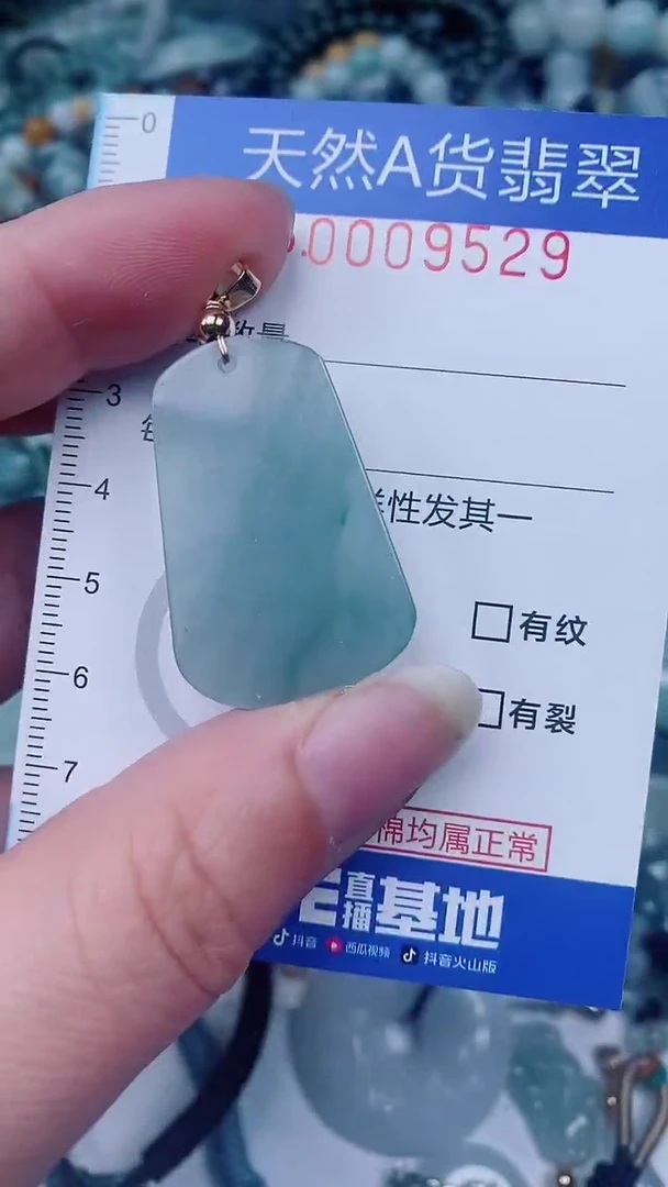 翡翠未镶嵌颈饰00009529