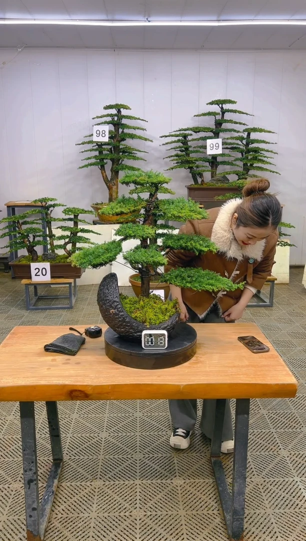 无花朵一物一拍一物一拍