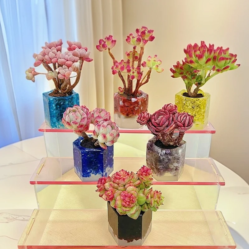 K2无土老桩组合(含六角水晶花器