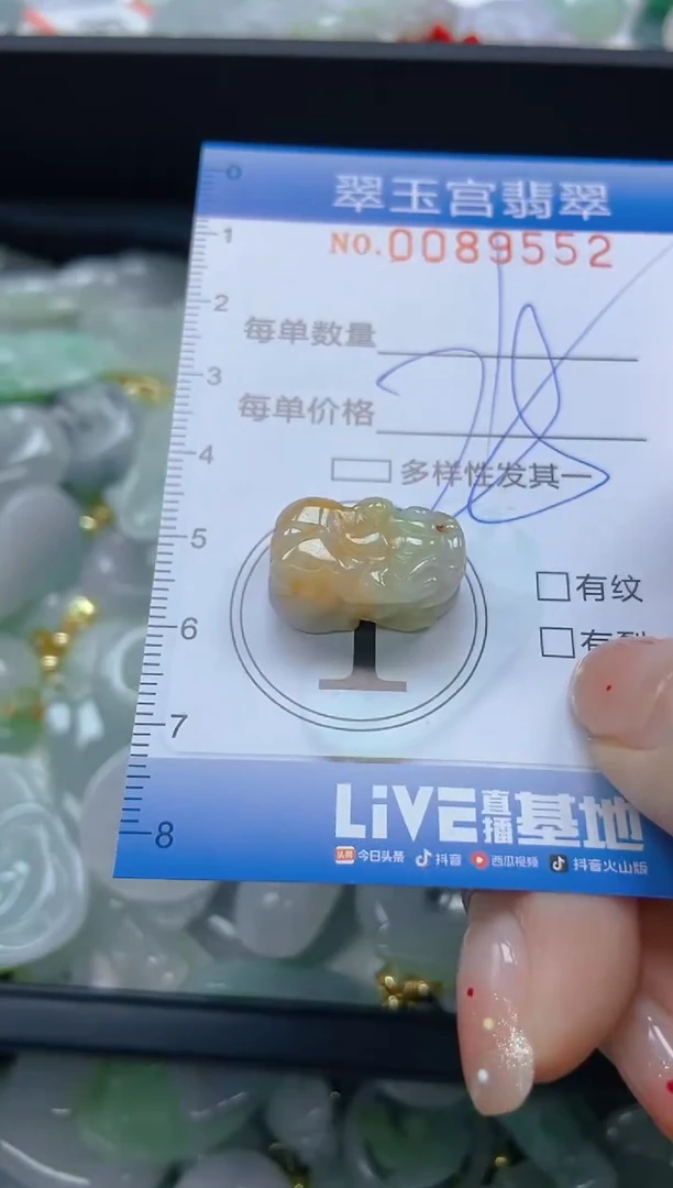 【闪购商品】翡翠未镶嵌颈饰闪购0089552