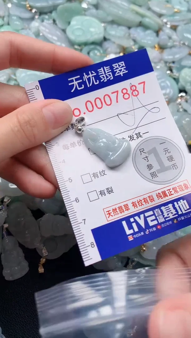 颈饰未镶嵌翡翠7887