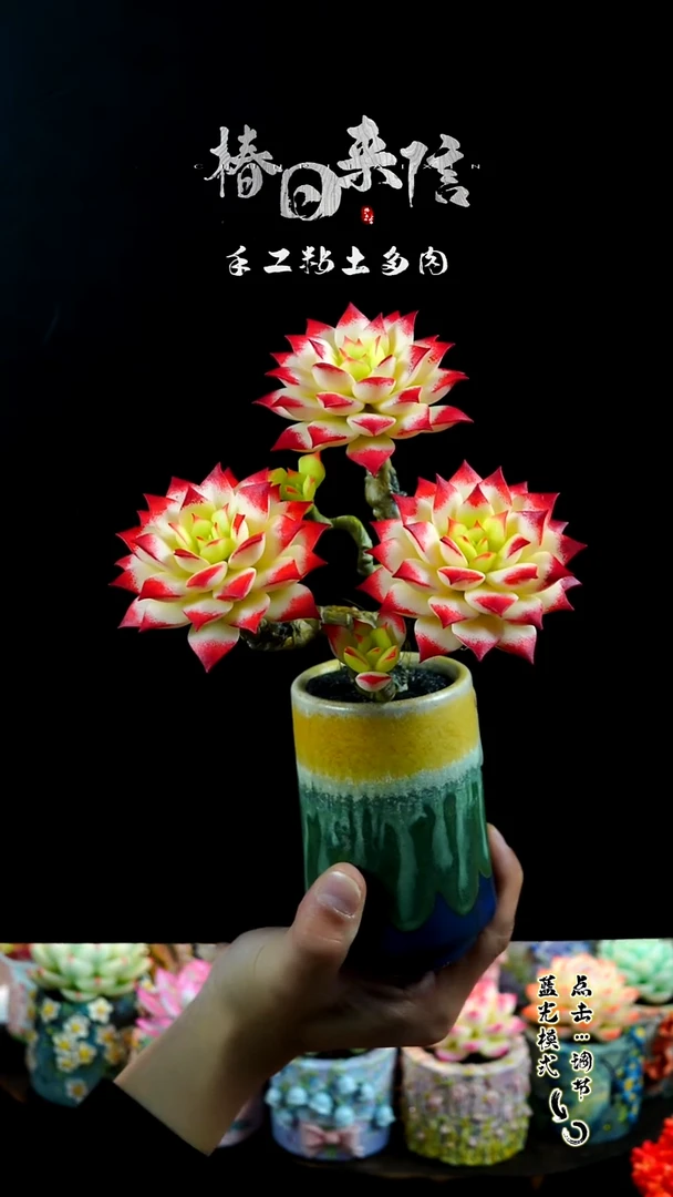 091.。。。。。。。。。。。。。。