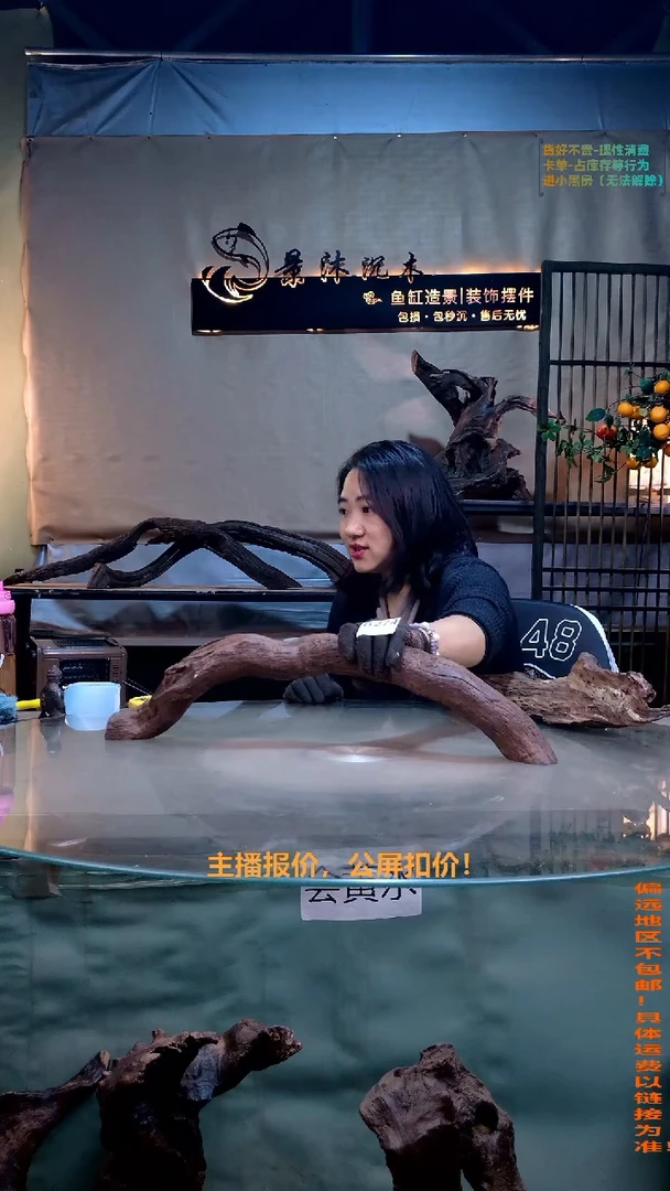 摆件景沐沉木B273 56-15