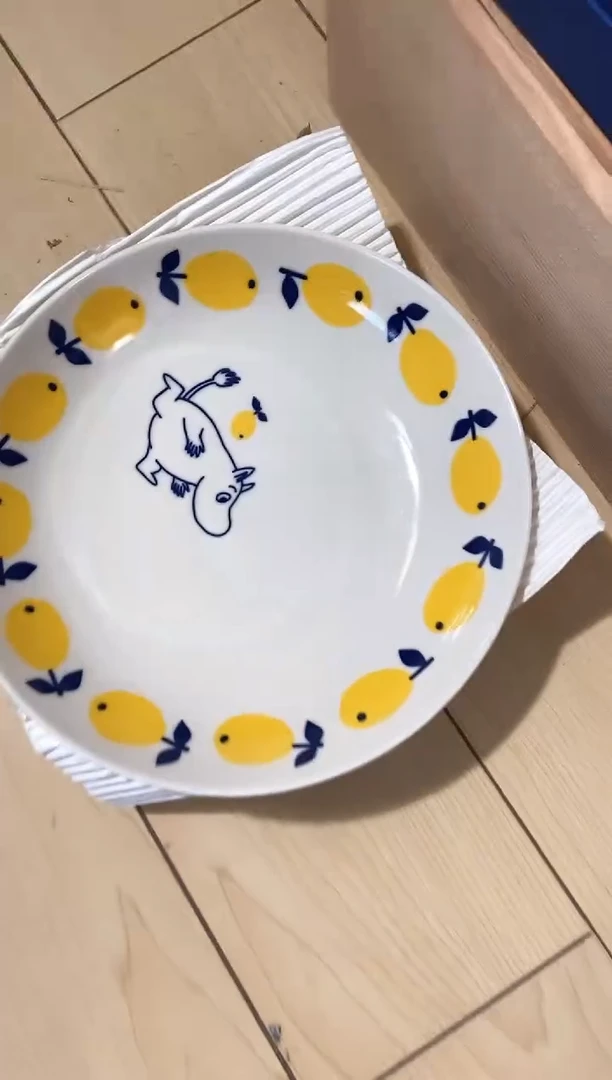 瓷片2盘瓷器四十五包邮偏远除外