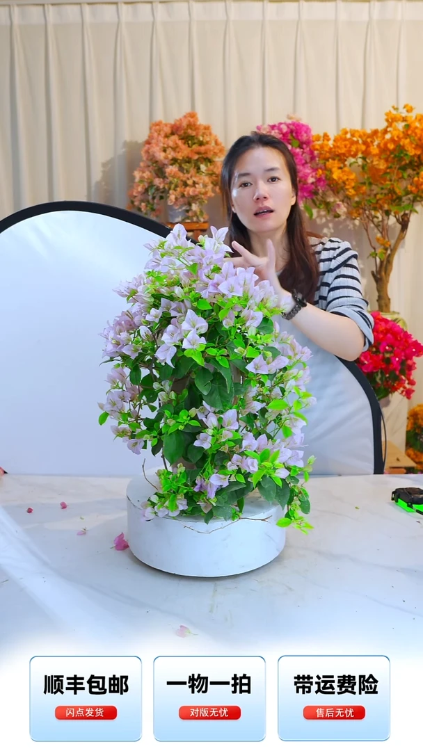 大部分开放少量花苞苹果花