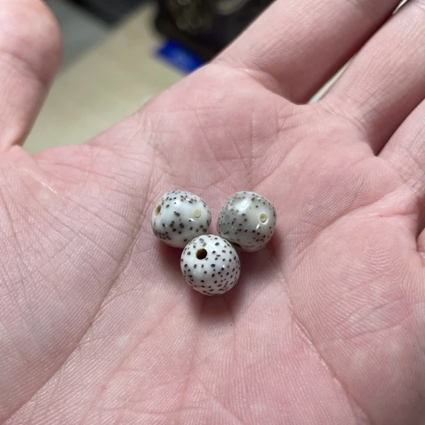 3 海南原生态星月菩提 直播改价链接