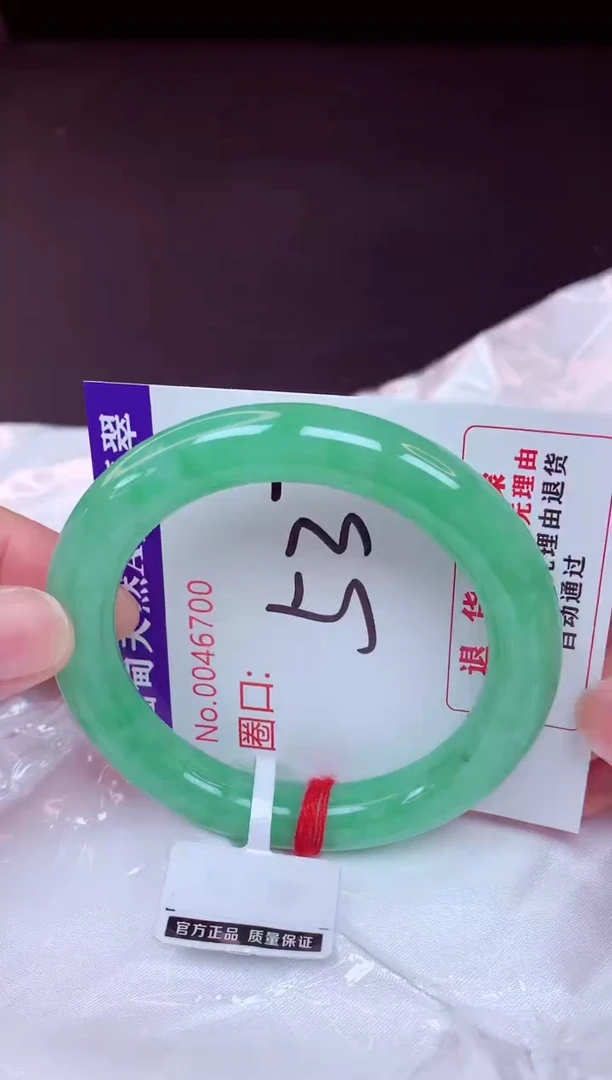 未镶嵌手镯翡翠53（48小时鉴赏期 ）