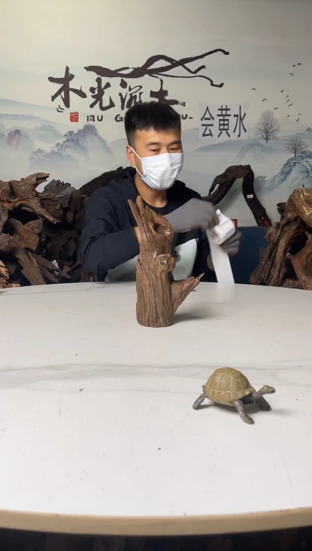 a645木光沉木木光沉木645