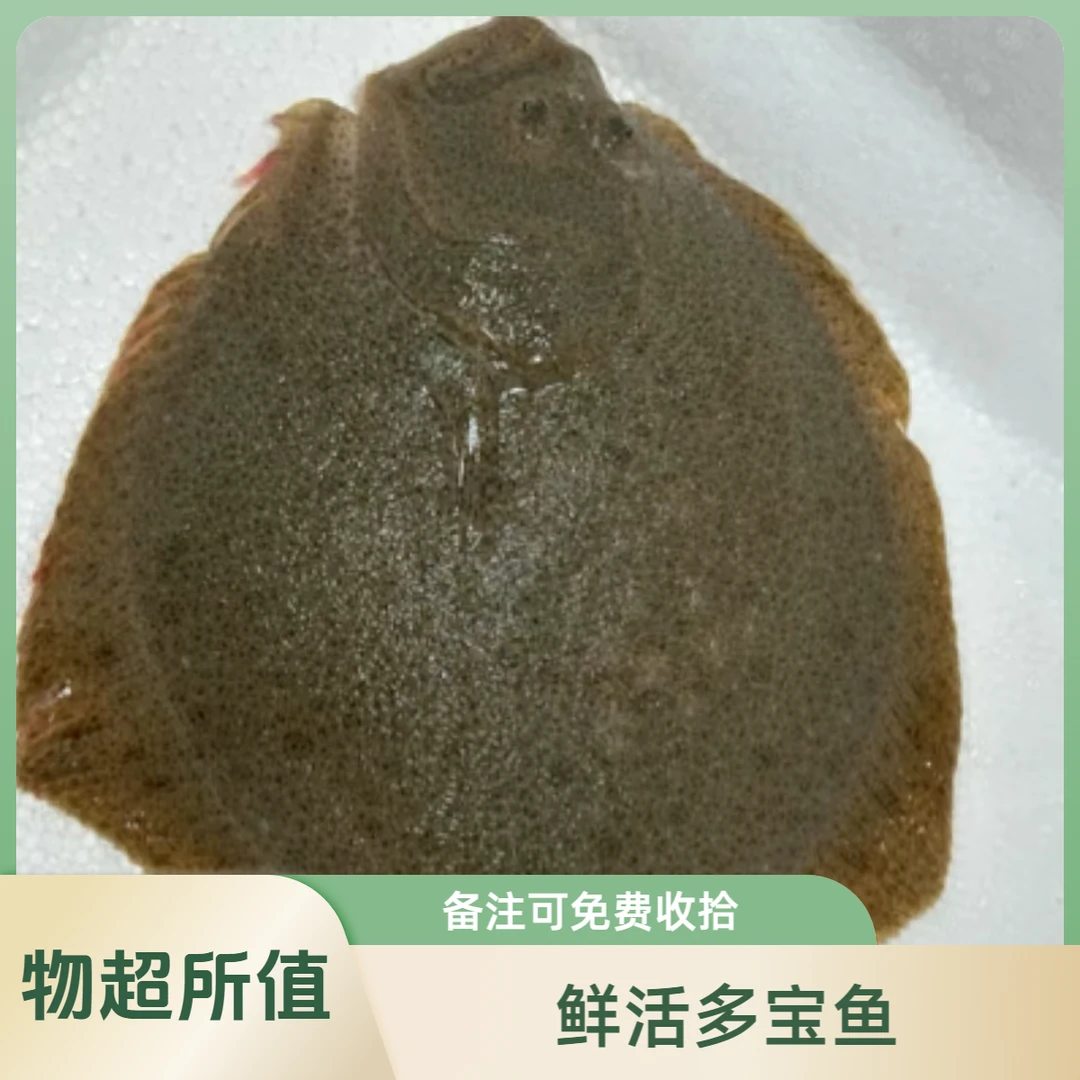 鲜活多宝鱼【老笨生鲜】到家后保鲜不保活