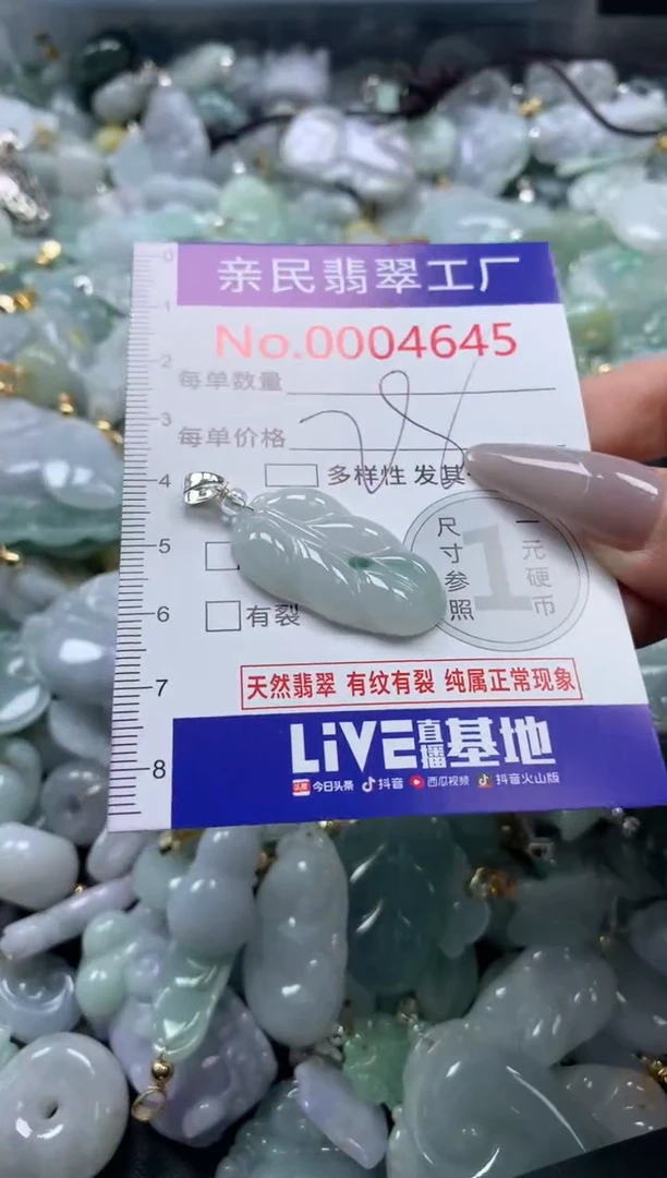 颈饰未镶嵌翡翠4645