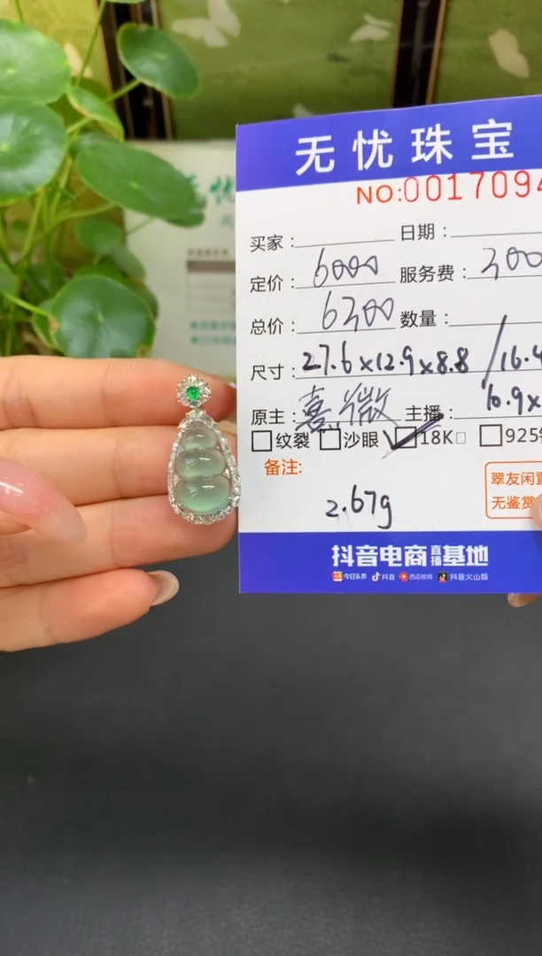 18K金镶嵌定制翡翠山****厅D519