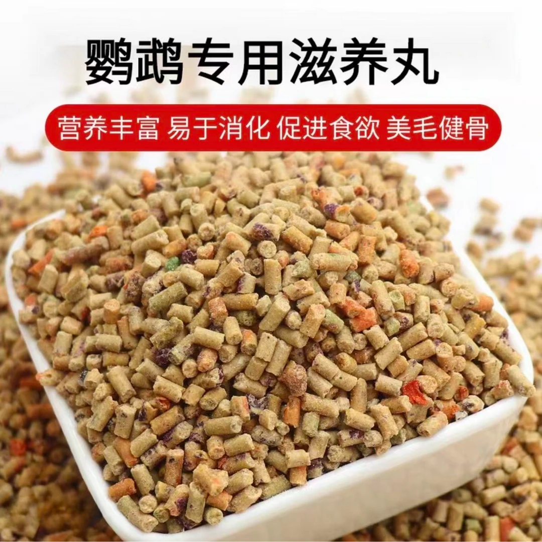 鹦鹉滋养丸小太阳和尚鹦鹉