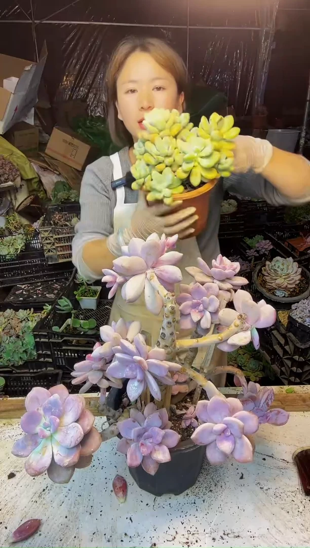 130号一物一拍 默认微瑕不售后