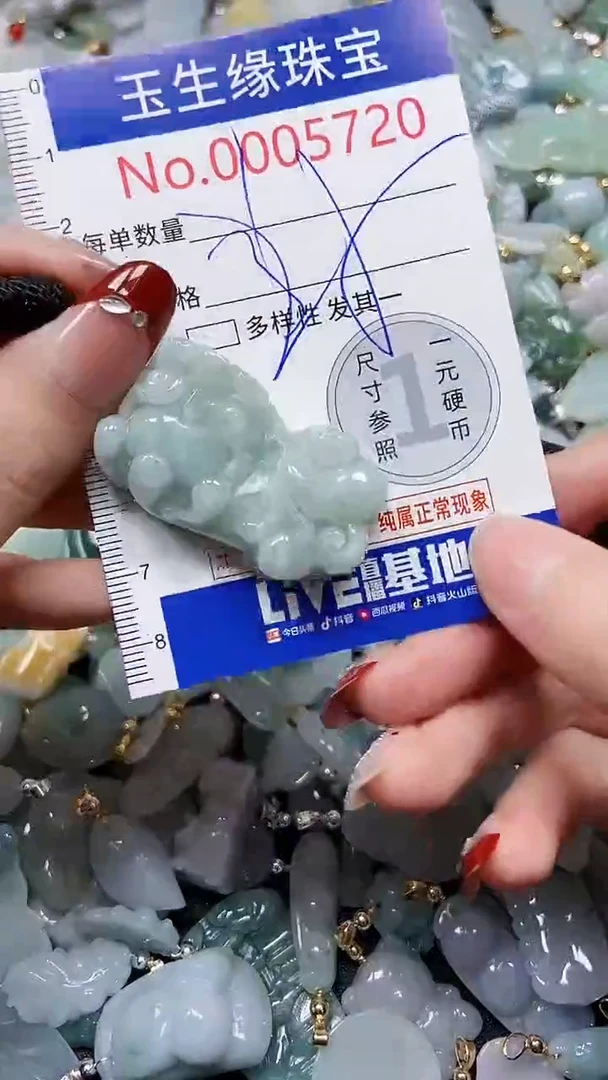 【闪购商品】翡翠颈饰未镶嵌闪购00005720