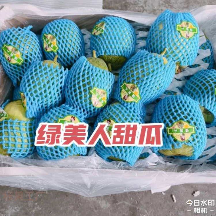 绿美人甜瓜（单果在450g-650g)