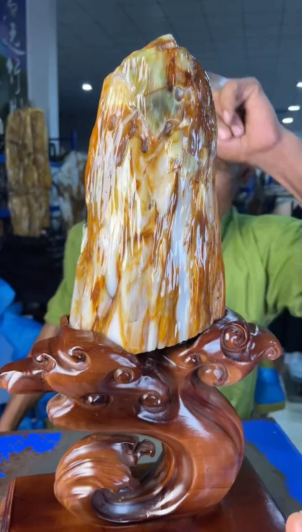 未镶嵌摆件硅化玉56