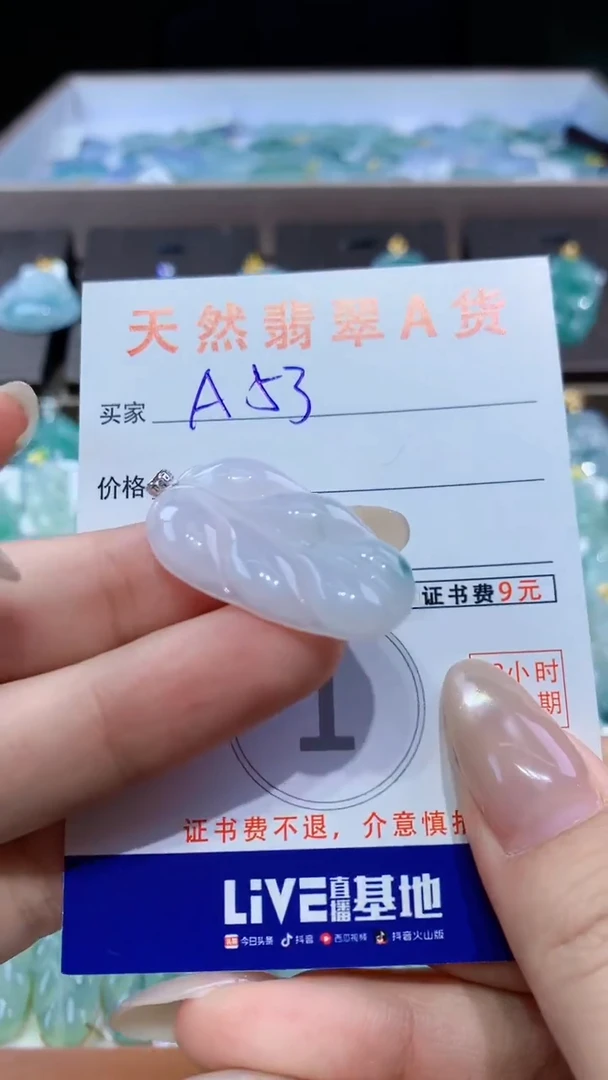 颈饰未镶嵌翡翠天然翡翠A货挂件