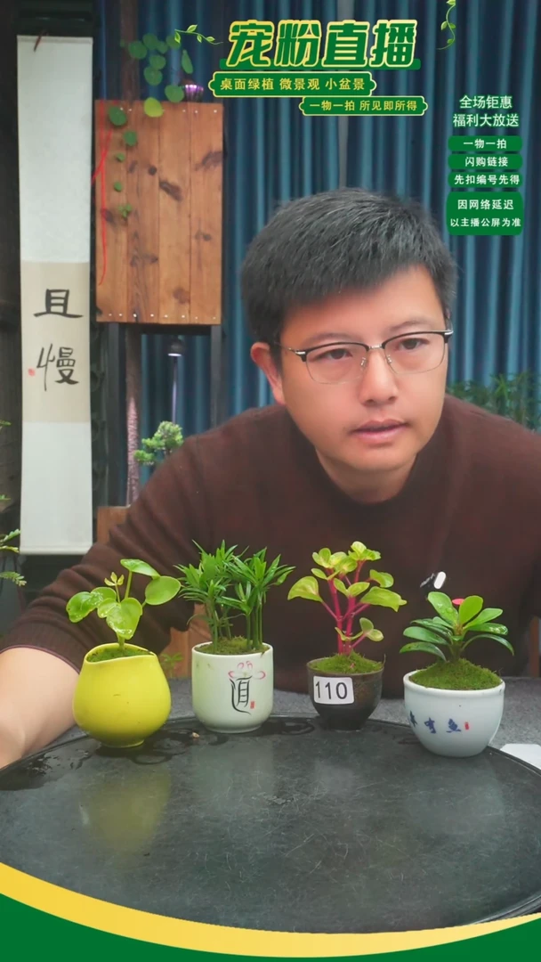 无花朵想****?苔藓微景观110号