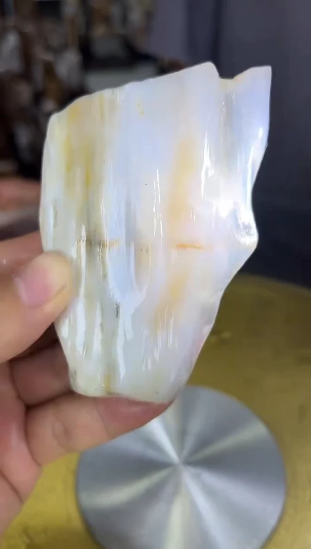 硅化玉珠宝奇石未镶嵌缅甸天然树化玉