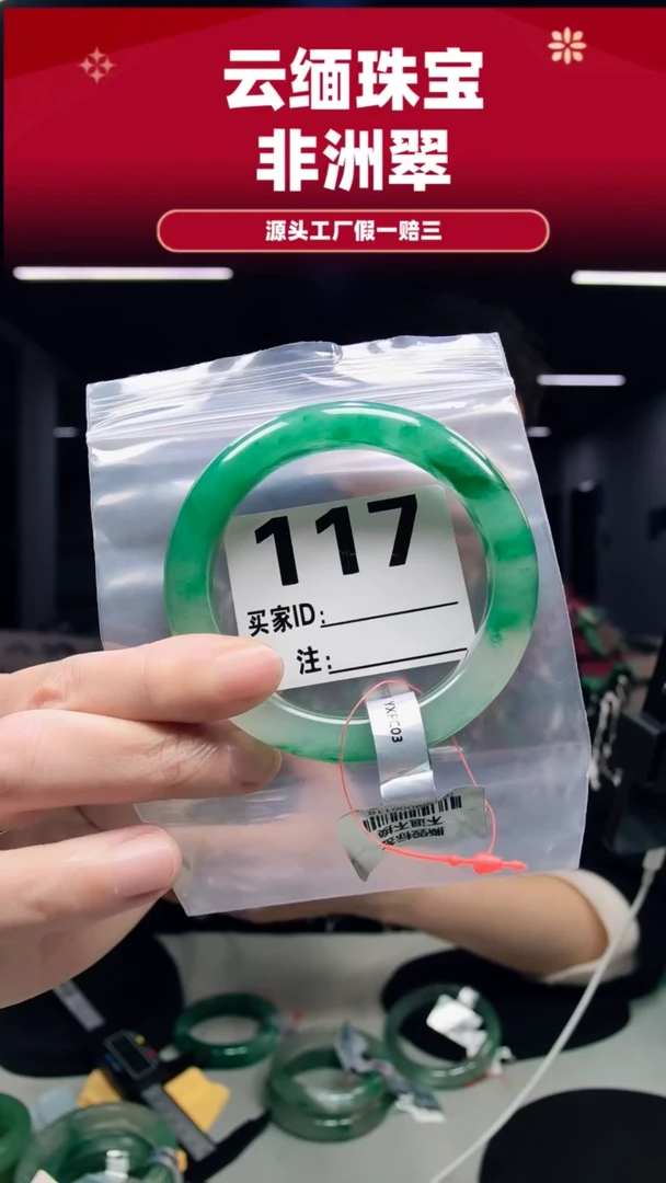 未镶嵌手镯石英质玉（非洲翠）58圈口117