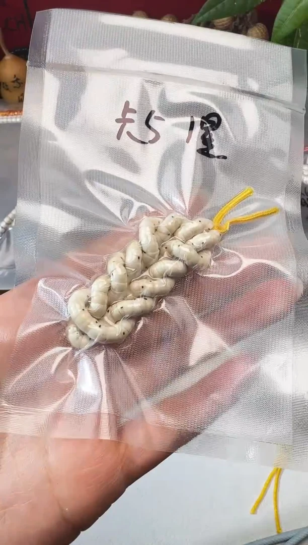 吊坠星月菩提卡5一星大肠原生态