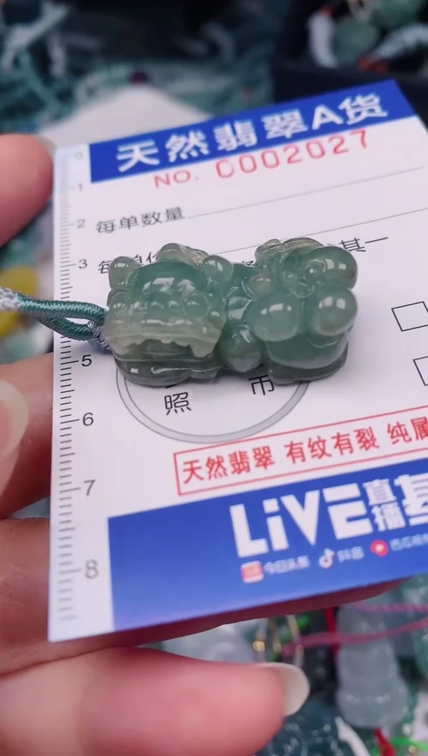 颈饰未镶嵌翡翠00002027