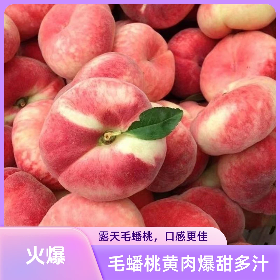 【五斤大果】露天毛蟠桃黄肉新鲜应季爆甜多汁黄金桃子脆桃水果包邮